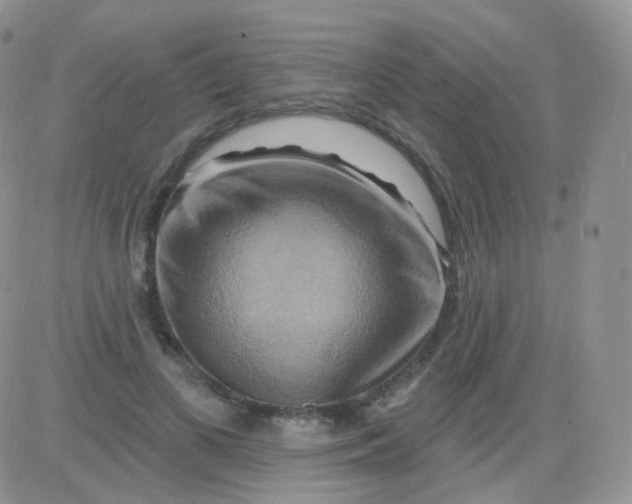 X0000083040693200702231930