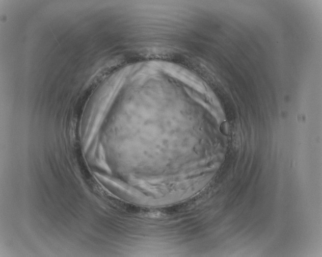 X0000083040695200702231930