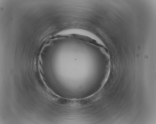 X0000083040696200702231930