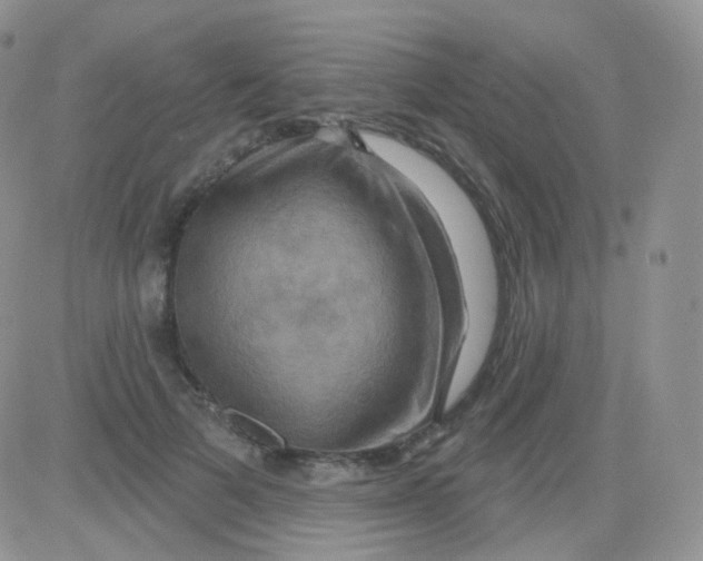 X0000083040697200702231930