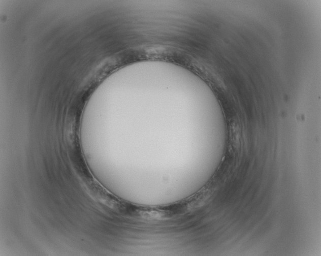 X0000083040698200702231930