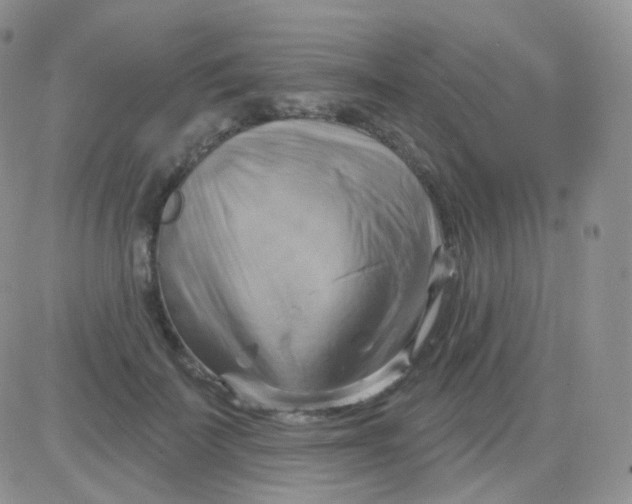 X0000083040699200702231930