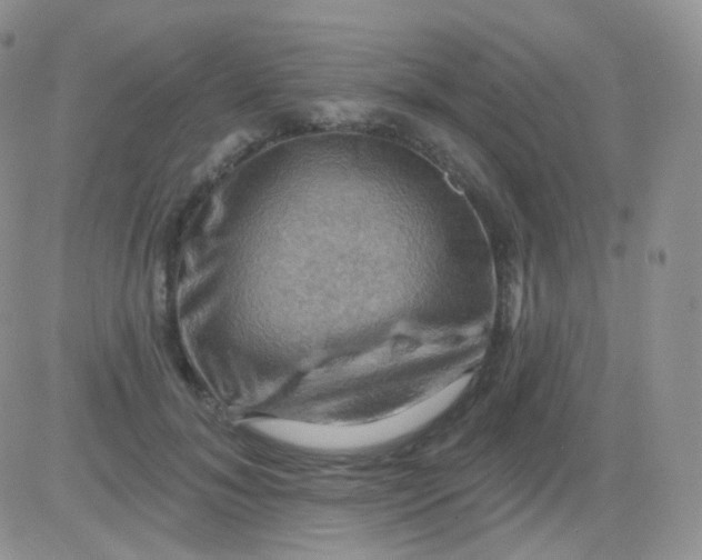 X0000083040700200702231930