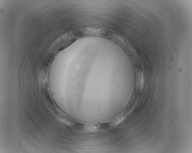 X0000083040701200702231930