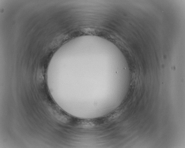 X0000083040702200702231930