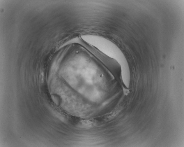 X0000083040703200702231930