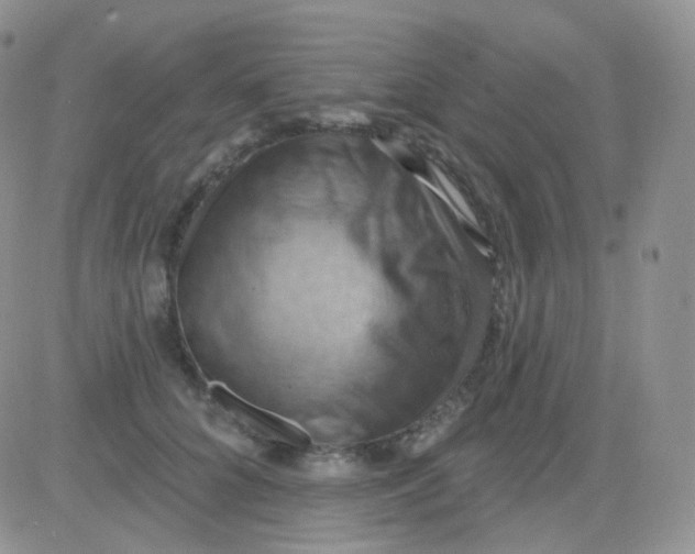 X0000083040704200702231930