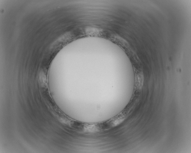 X0000083040705200702231930