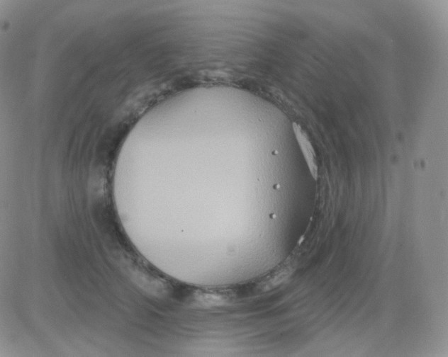 X0000083040706200702231930