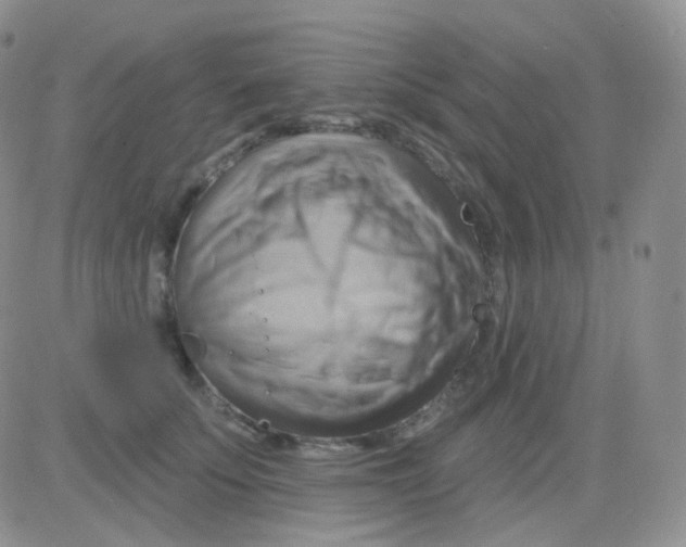 X0000083040707200702231930