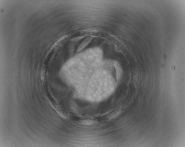 X0000083040708200702231930