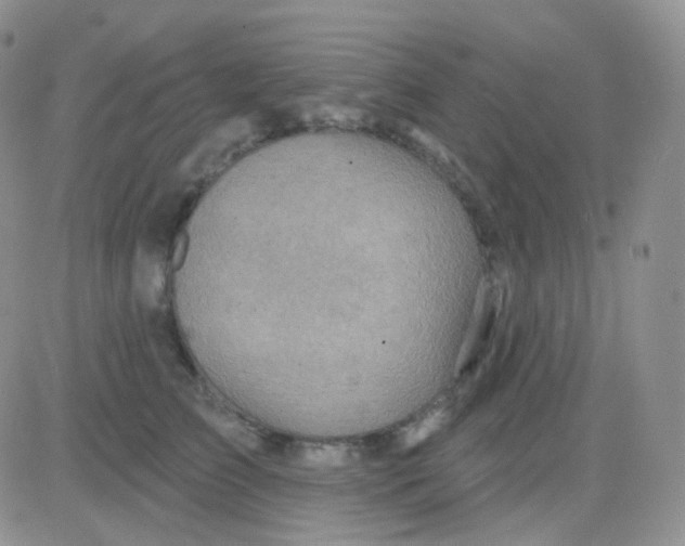 X0000083040709200702231930