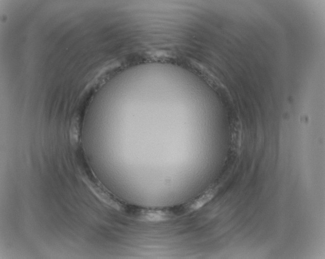 X0000083040710200702231930