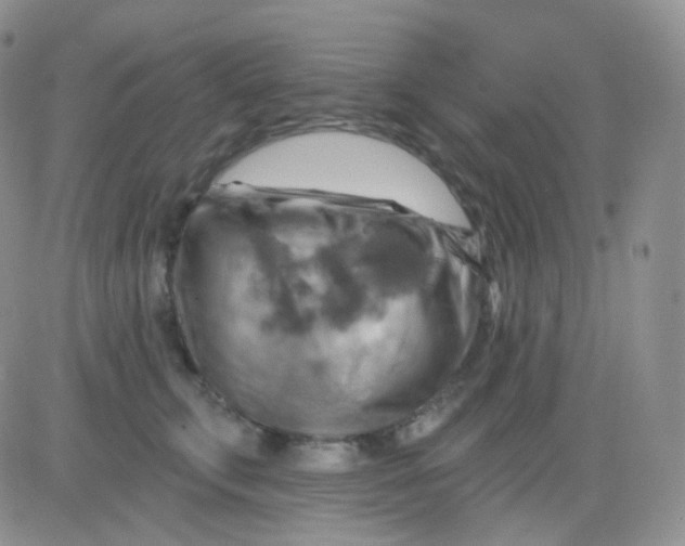 X0000083040711200702231930