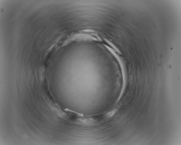 X0000083040712200702231930