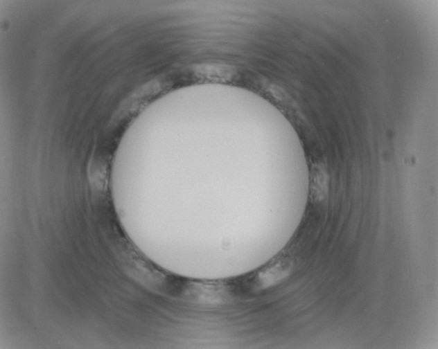 X0000083040713200702231930