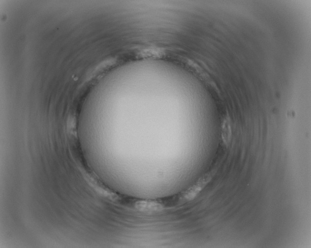 X0000083040714200702231930