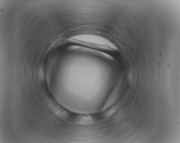 X0000083040715200702231930