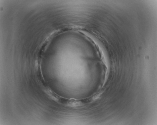 X0000083040716200702231930