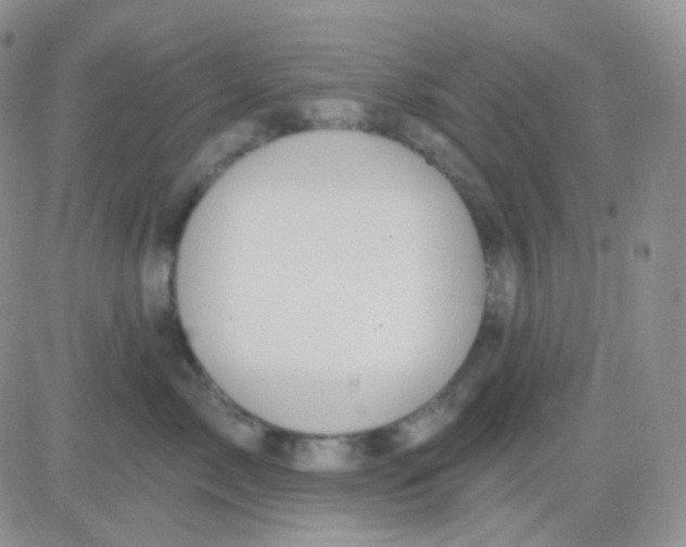 X0000083040717200702231930