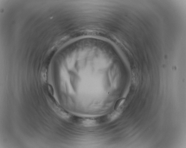 X0000083040718200702231930