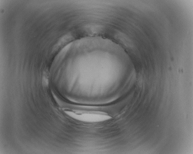 X0000083040719200702231930