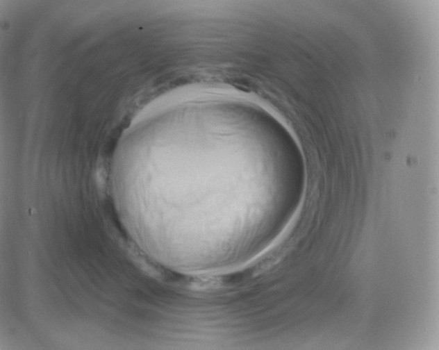 X0000083040720200702231929