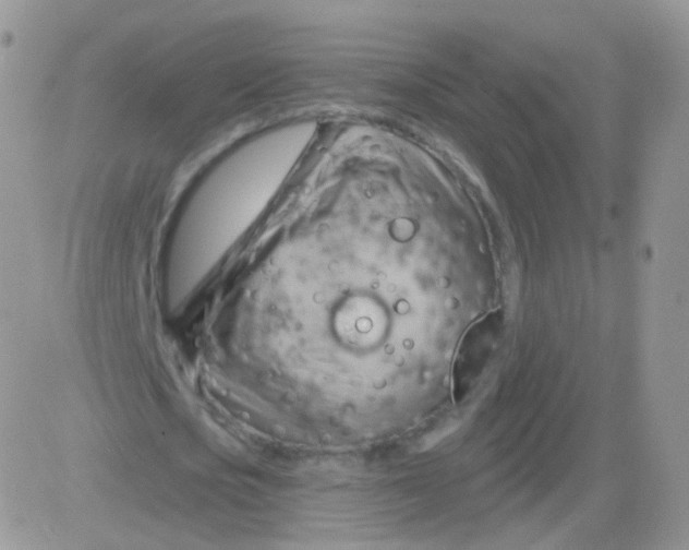 X0000083040721200702231929