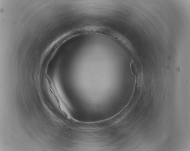 X0000083040722200702231929