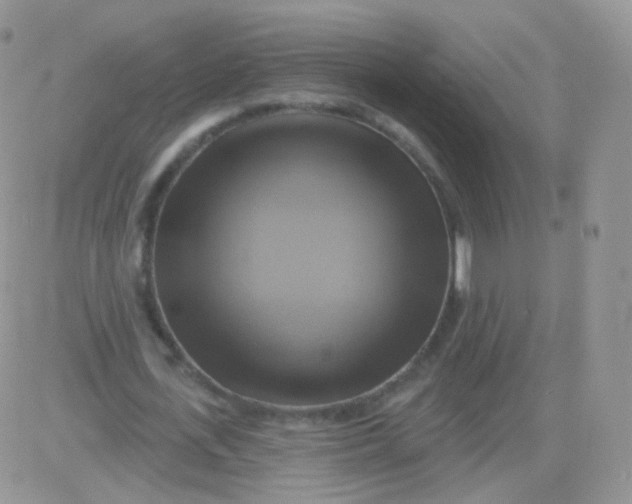 X0000083040723200702231929