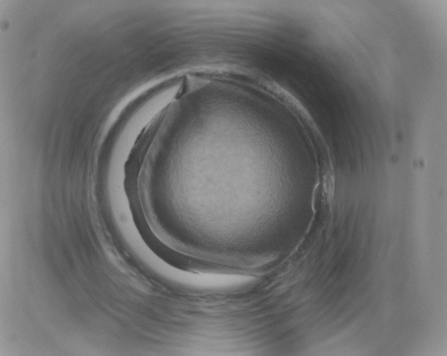 X0000083040724200702231929