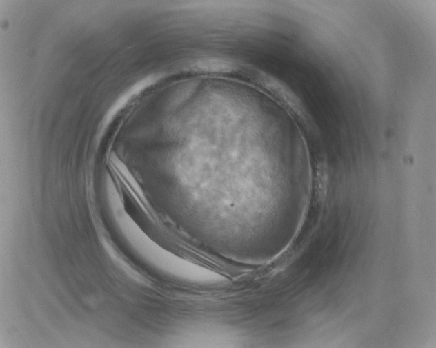 X0000083040726200702231929