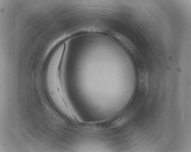 X0000083040727200702231929