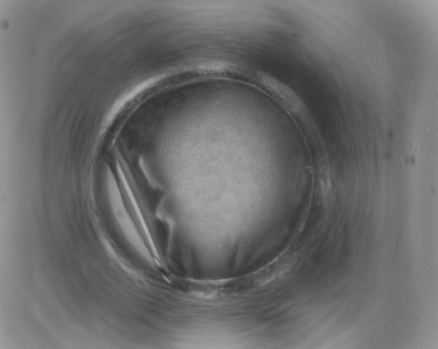 X0000083040728200702231929