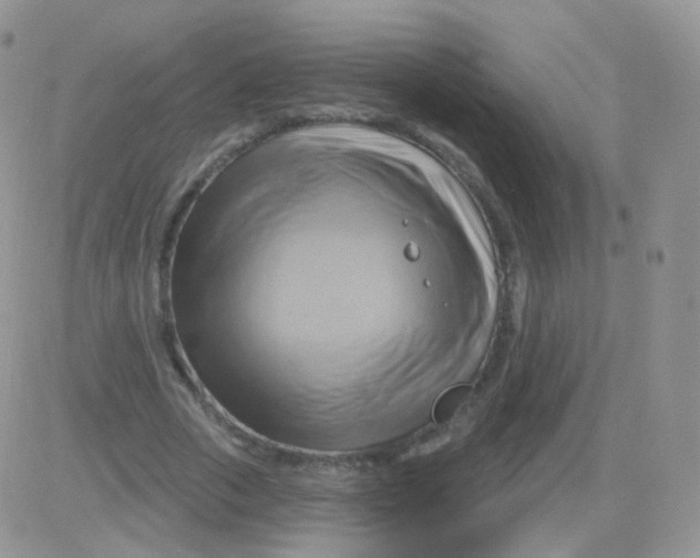 X0000083040729200702231929