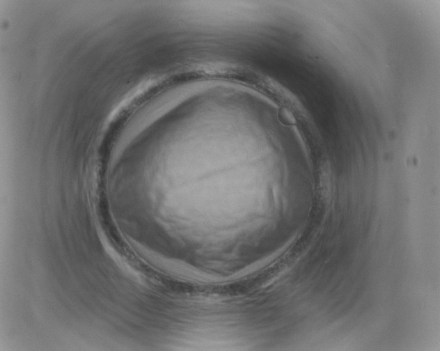 X0000083040730200702231929