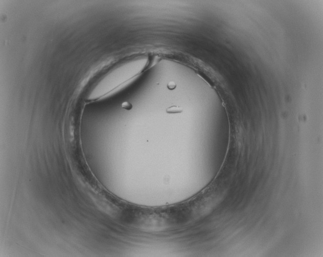 X0000083040731200702231929