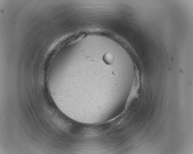 X0000083040732200702231929