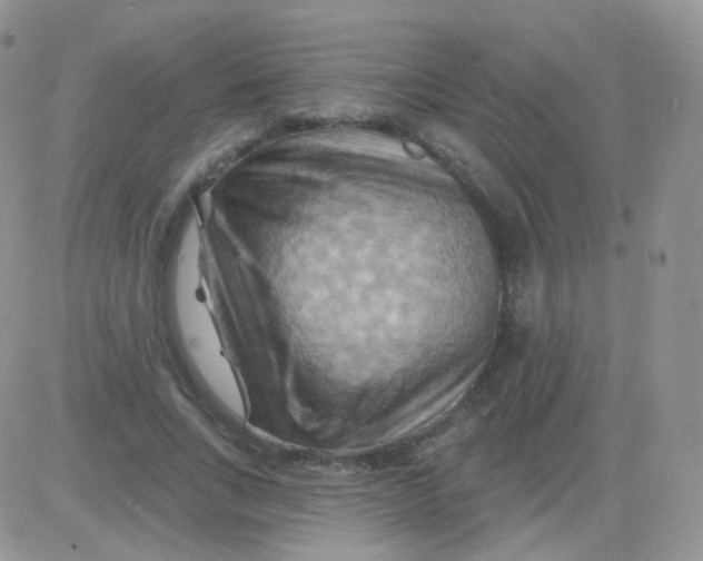 X0000083040735200702231929