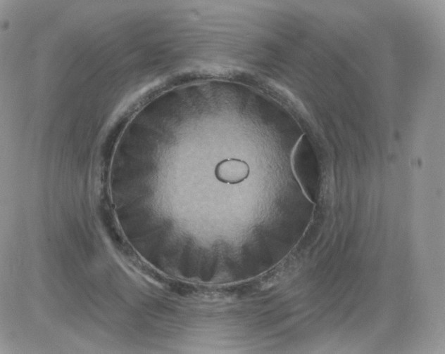 X0000083040736200702231929