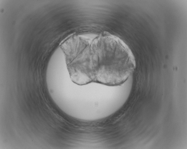 X0000083040737200702231929