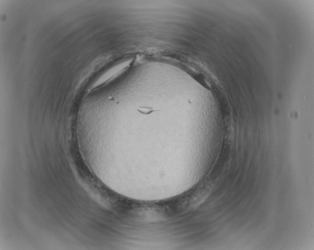 X0000083040738200702231929