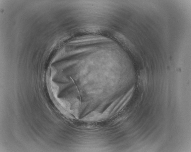 X0000083040739200702231929