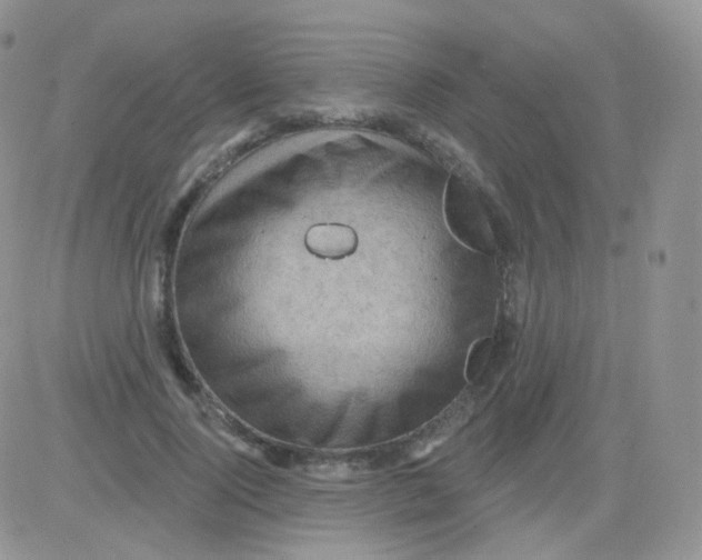 X0000083040740200702231929