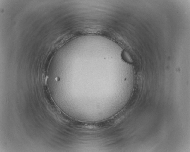 X0000083040741200702231929