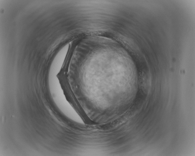 X0000083040742200702231929