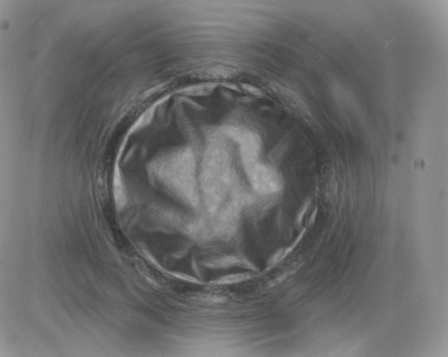 X0000083040743200702231929