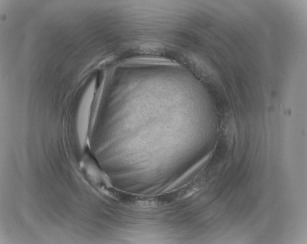 X0000083040744200702231929