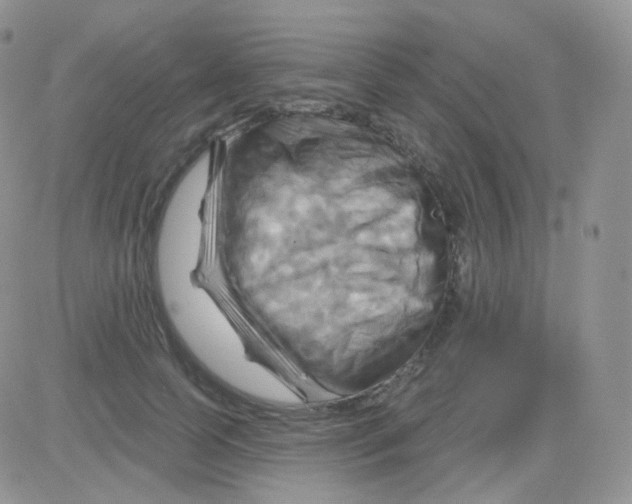 X0000083040745200702231929