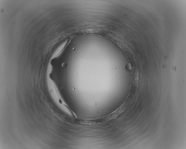 X0000083040746200702231929